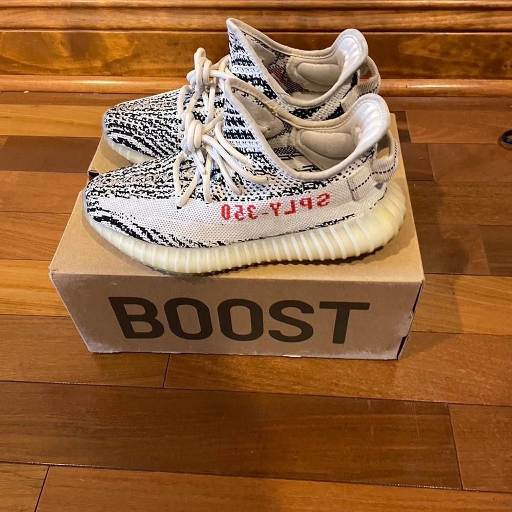 Adidas Yeezy Boost 350 V2